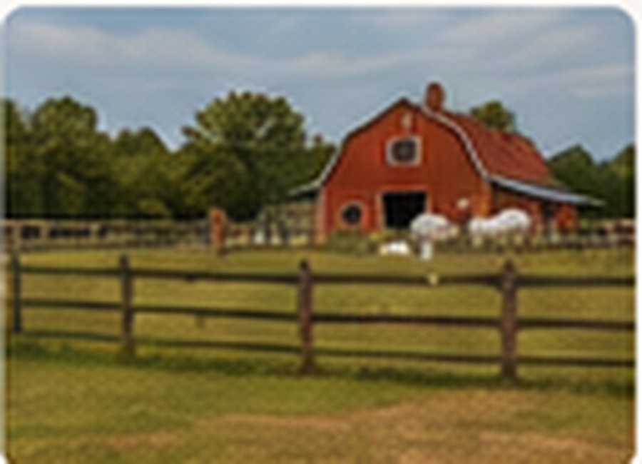Charlotte Farms animal
